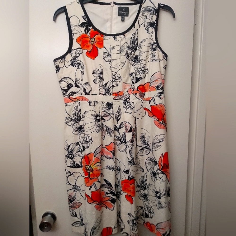 Adrianna Papell  dress size 16